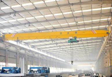 Metalurgical Electric Overhead Crane